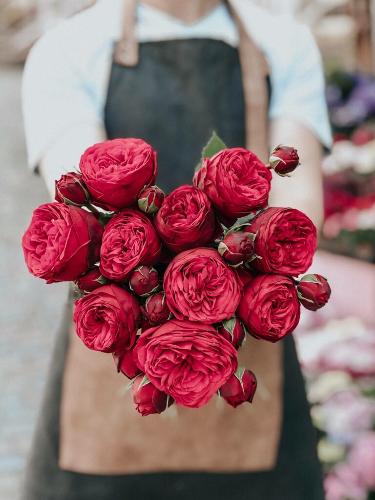 Enchanting Red Garden Roses Against Soft Blurred Background Wallpaper