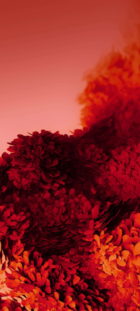 Vibrant Red & Orange Abstract Floral Wallpaper Background for Samsung S20