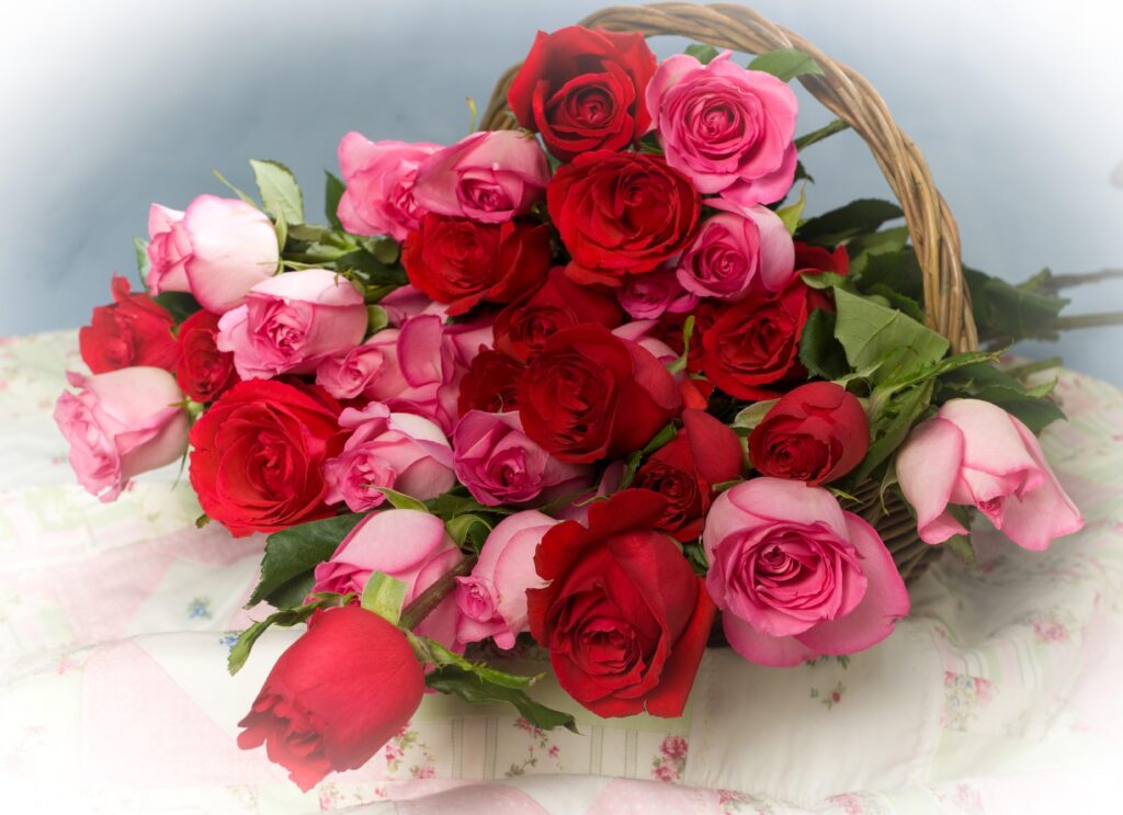 Elegant Red & Pink Roses Basket Wallpaper for a Romantic Background