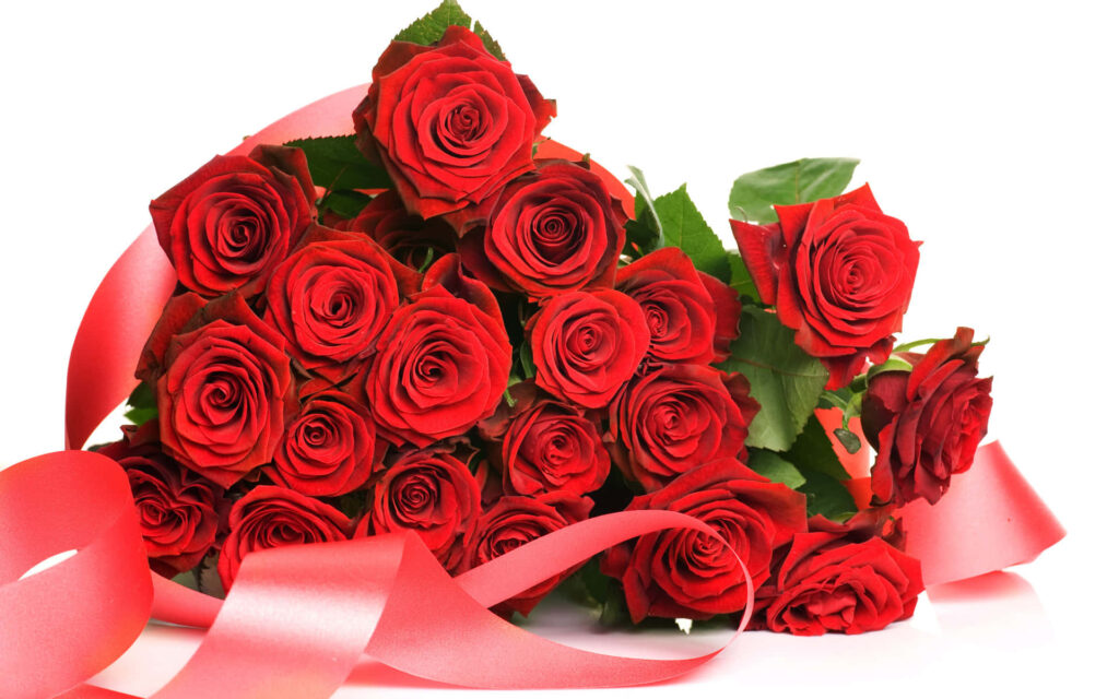 Stunning Red Rose Bouquet Wallpaper with Soft Ribbon on White Background