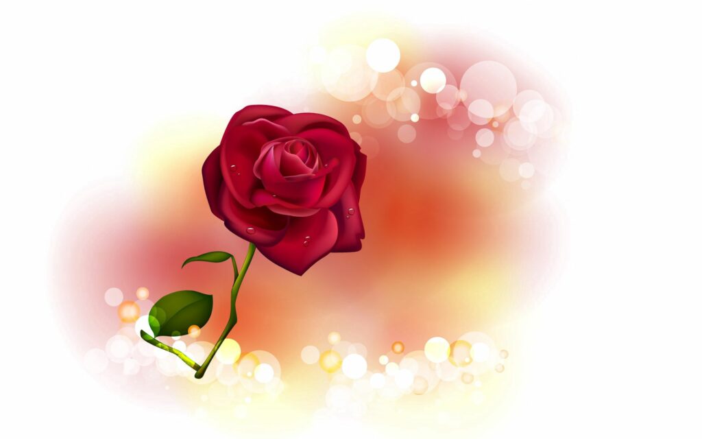 Stunning Red Rose Wallpaper: Dreamy Floral Desktop Background