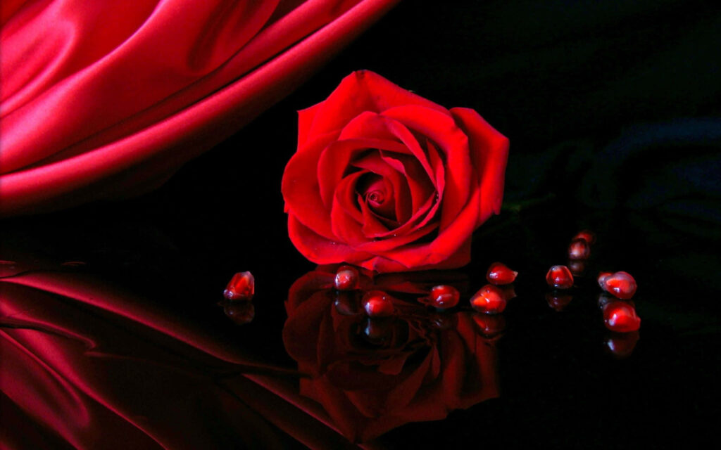 Stunning Red Rose Wallpaper with Pomegranate Seeds on Black Surface