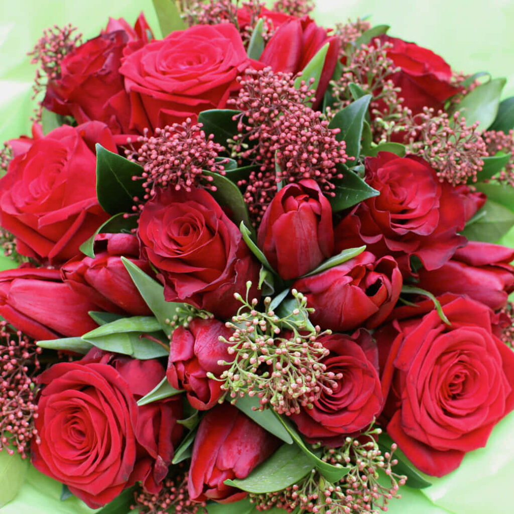 Elegant Red Rose Wallpaper with Lush Greenery & Charming Blooms
