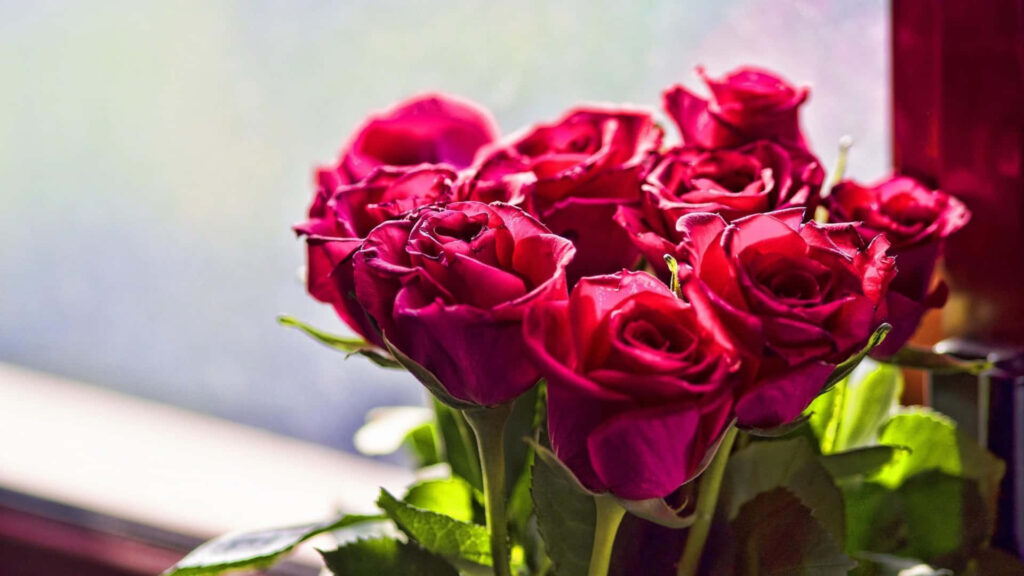 Elegant Red Rose Wallpaper: Lush Bouquet for Stunning Background