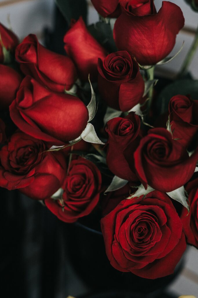 Stunning Red Roses Wallpaper: Lush Petals in Rich Detail Background