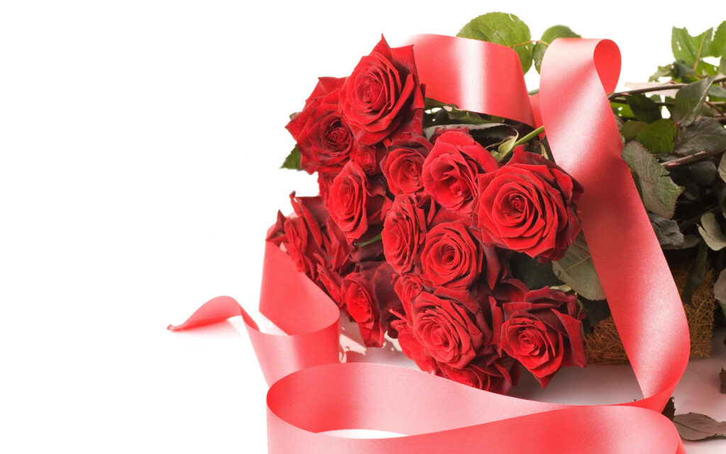 Elegant Red Roses with Pink Ribbon - Romantic Wallpaper Background