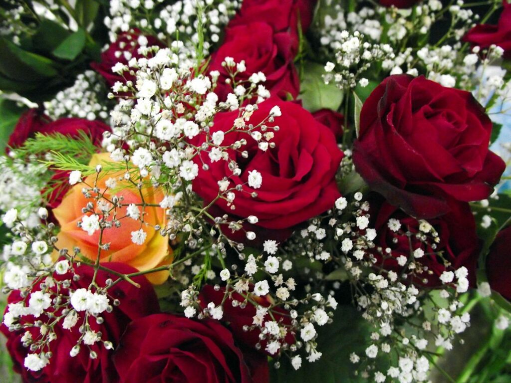 Elegant Red Rose Bouquet with White Gypsophila Wallpaper Background