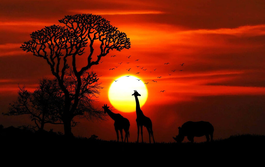 Stunning Safari Sunset Wallpaper: Giraffes, Rhino & Vibrant Sky