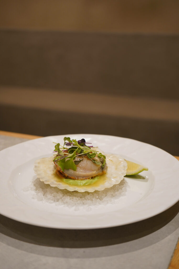 Elegant Scallops Dish on Shell with Microgreens & Lime - Wallpaper