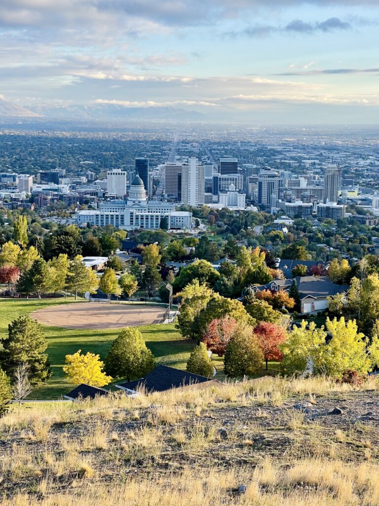 Stunning Cityscape Wallpaper: Autumn Trees & Urban Skyline View