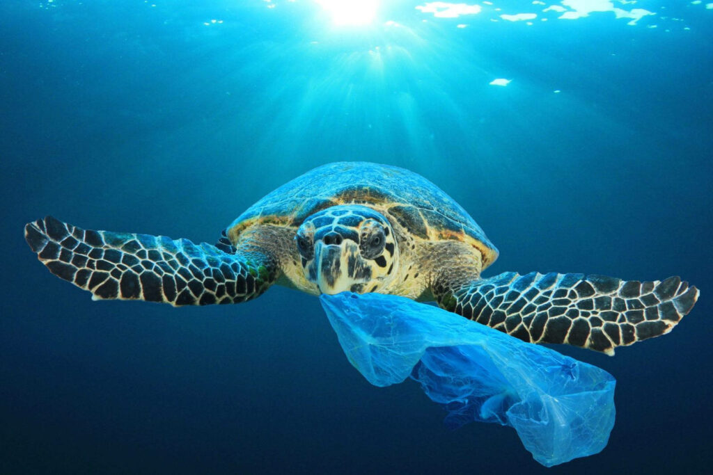 Sea Turtle Struggles: Powerful Reminder of Ocean Plastic Pollution Wallpaper