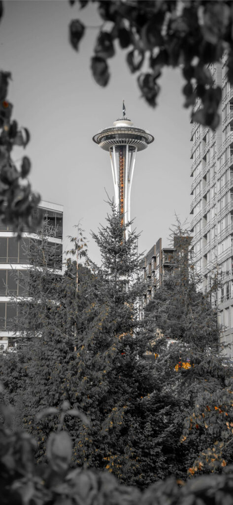 Stunning Seattle Space Needle Wallpaper: Nature Meets Urban Life