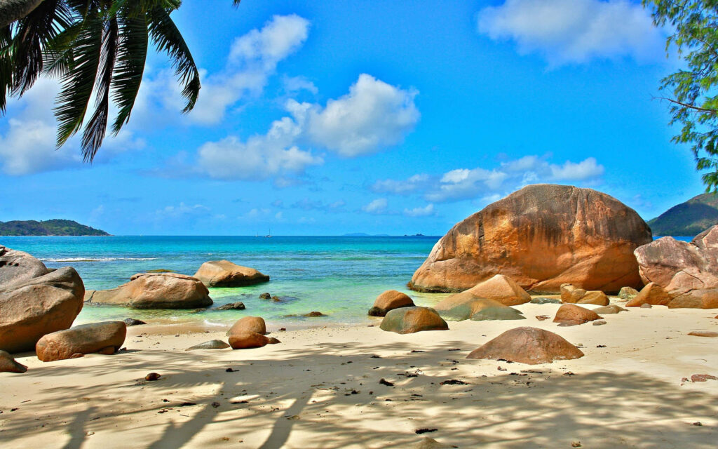 Stunning Seychelles Beach: Tropical Paradise with Turquoise Waters & Palm Trees Wallpaper