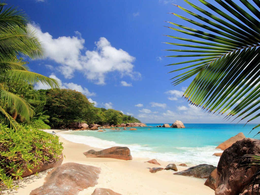 Seychelles Beach Wallpaper: Pristine Sands & Crystal Waters Background