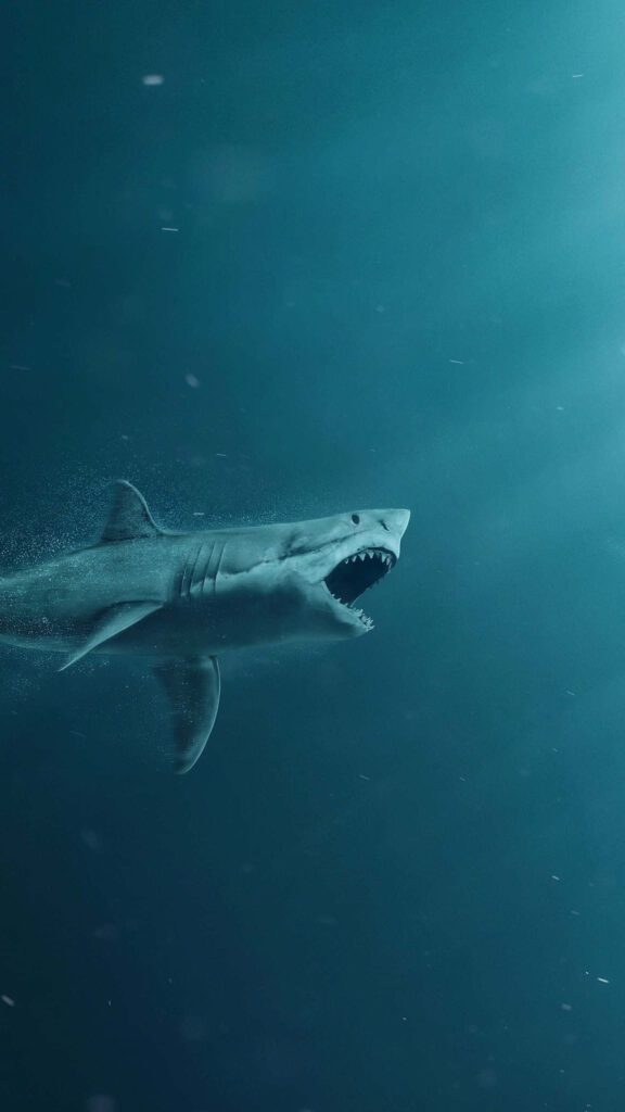Shark Swimming in Deep Blue Waters - Dramatic Wallpaper Background