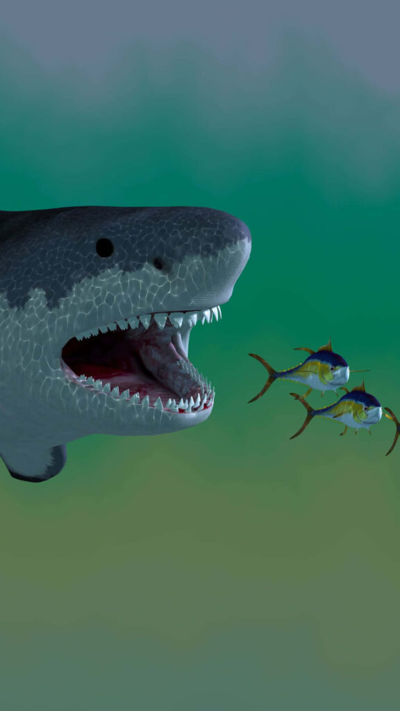 Fierce Shark Wallpaper: Captivating Marine Scene with Vibrant Fish