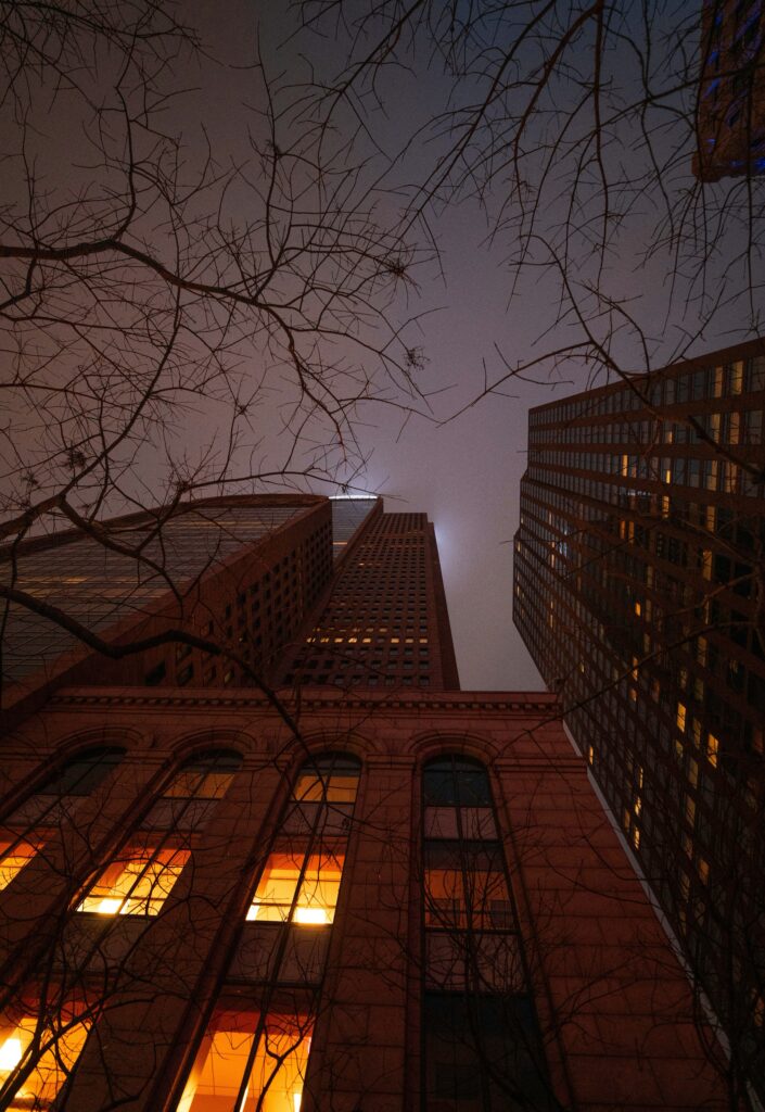 Skyscrapers at Night: Stunning Illuminated Tree-Framed Wallpaper