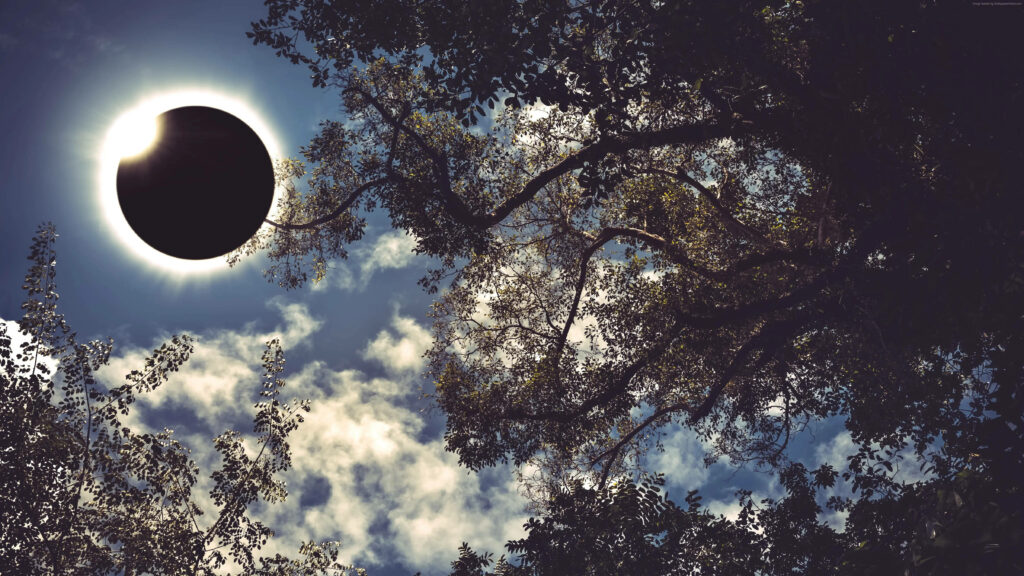 Enchanting Solar Eclipse Wallpaper: Forest Silhouette & Cloudlight