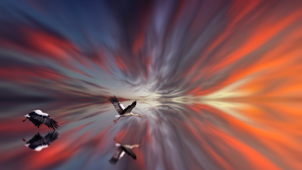 Stunning Storks in Flight Wallpaper with Vibrant Sky Reflection