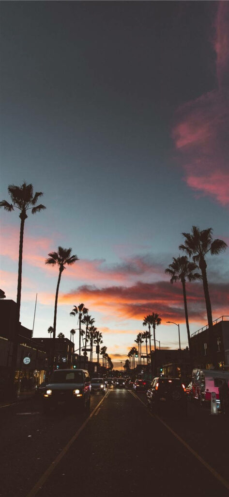 Stunning Cityscape Sunset Wallpaper with Palm Trees for iPhone iOS 10