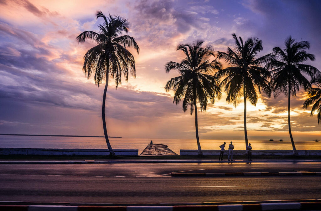 Sunset Over Ocean with Silhouetted Palm Trees - Tranquil Wallpaper