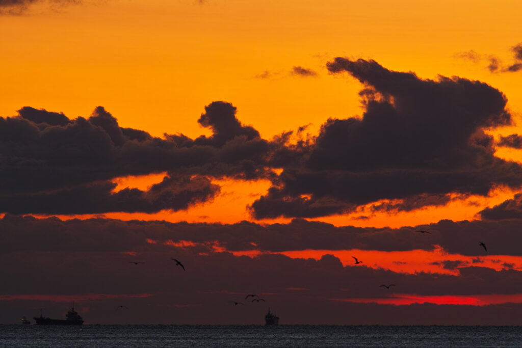 Stunning Sunset HD Wallpaper: Vibrant Sky Over Sea with Ships & Birds