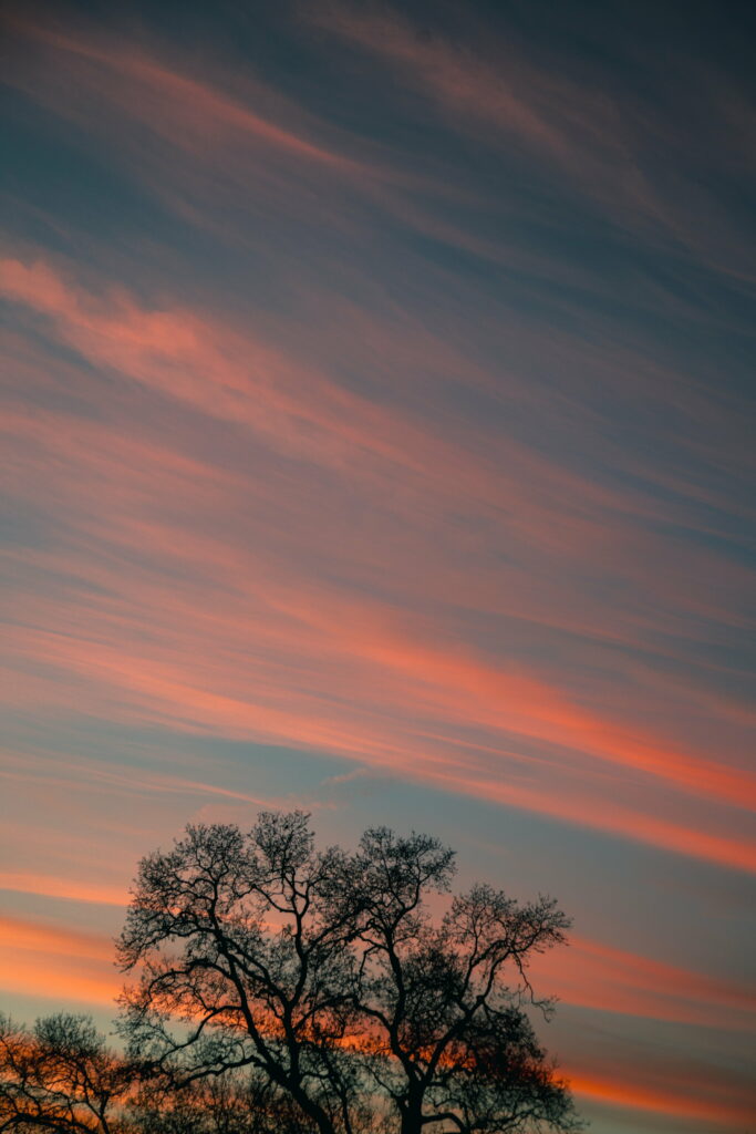 Stunning Sunset Sky Wallpaper: Tree Silhouette & Clouds HD Background