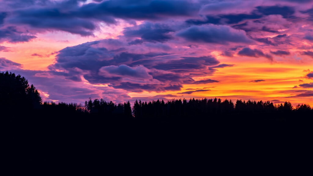 Breathtaking Sunset Over Forest: Vibrant Orange, Pink, and Purple Sky Wallpaper