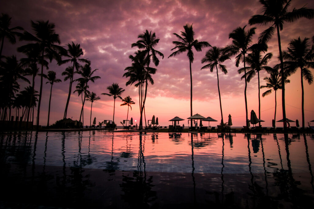 Stunning Sunset Beach Wallpaper with Palm Tree Silhouettes