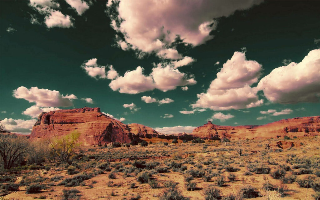Stunning Texas Country Landscape Wallpaper - American Southwest Beauty