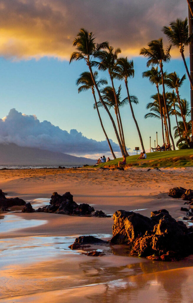 Stunning Tropical Beach Sunrise Wallpaper with Palm Trees