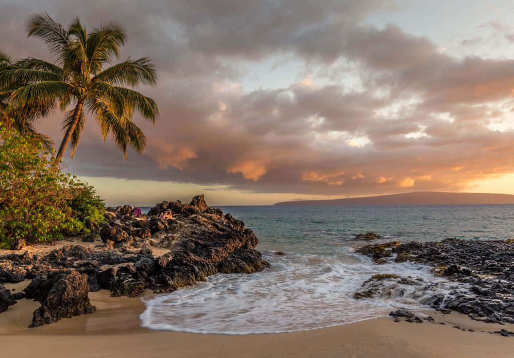 Stunning Tropical Beach Sunset Wallpaper with Palm Tree & Waves