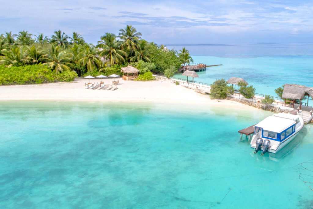 Tropical Beach Wallpaper: Escape to Paradise with Crystal-Clear Waters