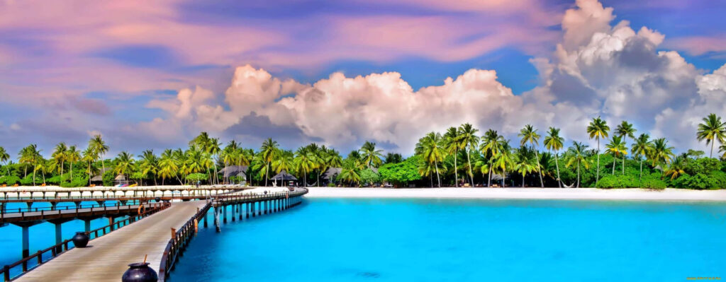Serene Tropical Beach with Turquoise Waters and Lush Palm Trees Wallpaper