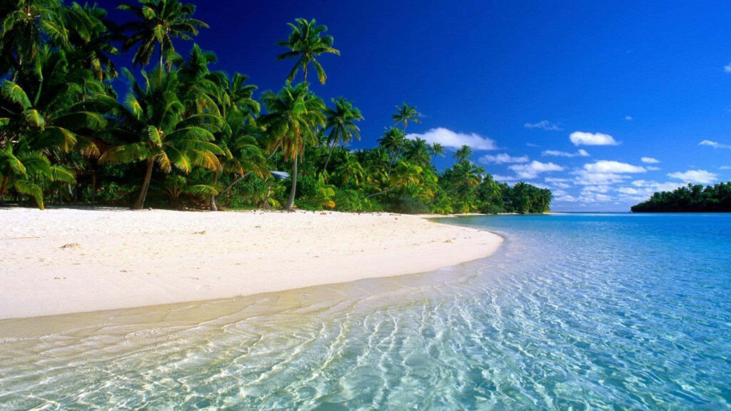 Tropical Paradise Wallpaper: Soft Sand, Palm Trees & Blue Water