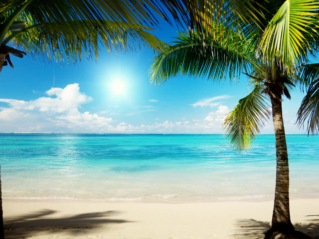 Serene Tropical Paradise Wallpaper: Sunlit Beach & Turquoise Waters