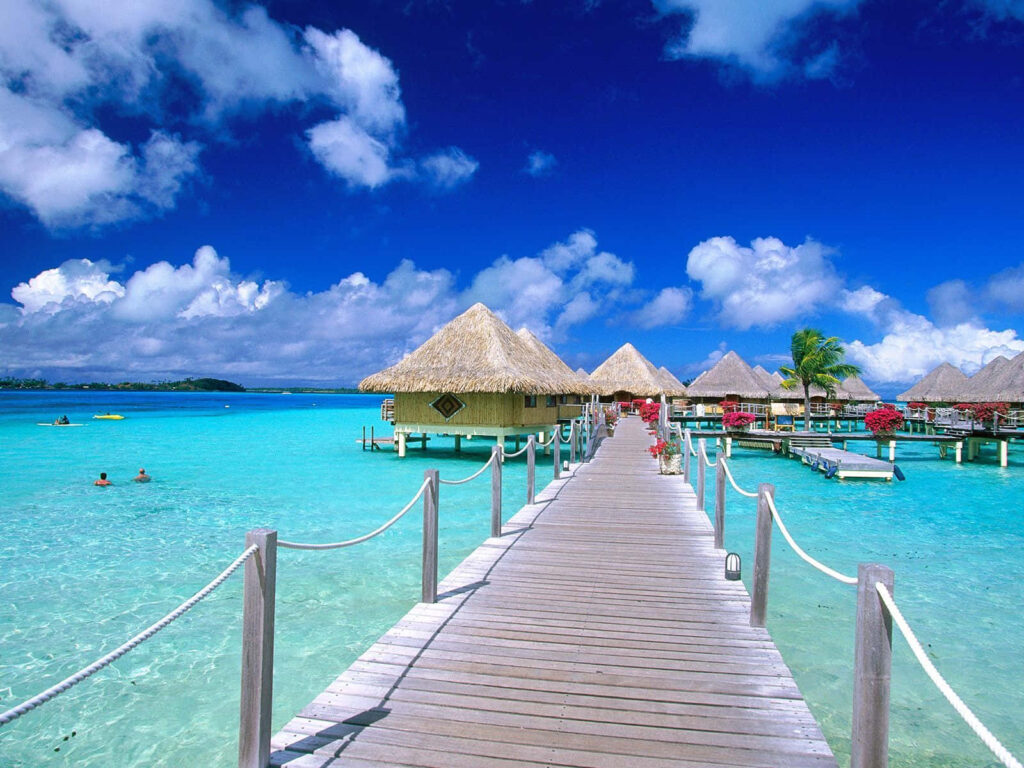 Tropical Paradise Wallpaper: Overwater Bungalows & Turquoise Waters