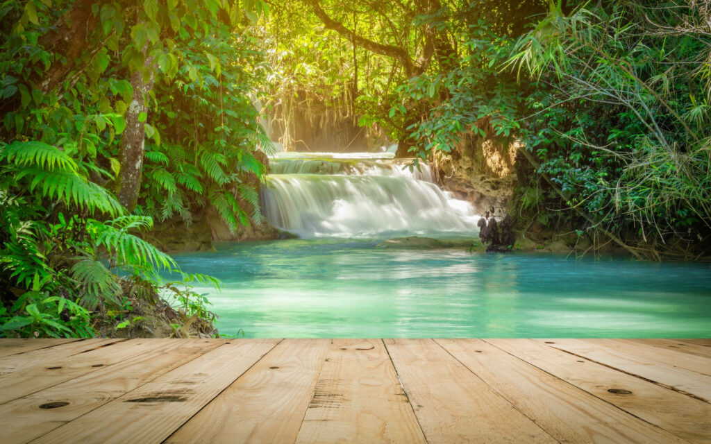 Tranquil Tropical Rainforest Waterfall Desktop Wallpaper Background