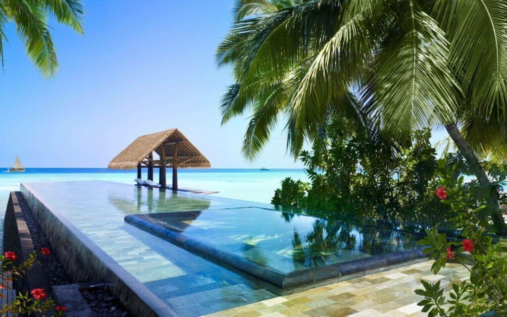 Tropical Wallpaper: Luxurious Infinity Pool at Reethi Rah Paradise