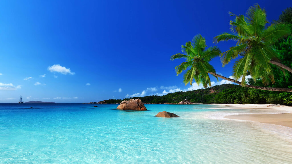 Breathtaking Turquoise Beach Wallpaper with Palm Trees & Blue Sky