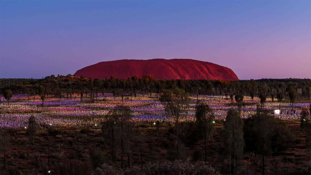 Twilight Uluru Wallpaper: Serene Landscape with Colorful Plants