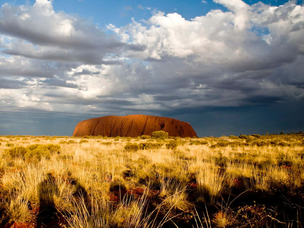Iconic Uluru Wallpaper: Dramatic Cloudy Sky & Golden Grasslands