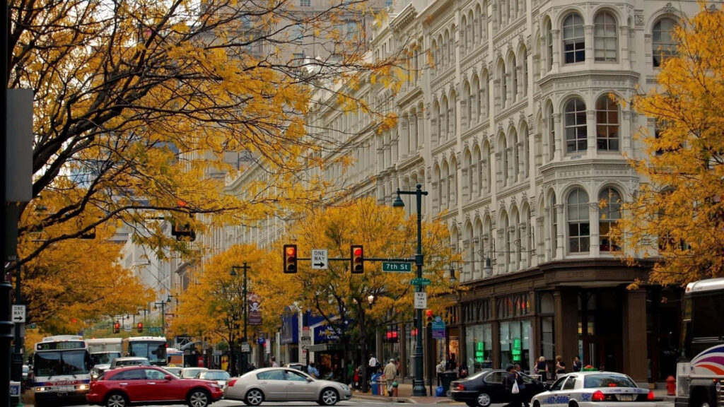 Autumn Urban Scene: Tree-Lined Streets & Classic Architecture Wallpaper