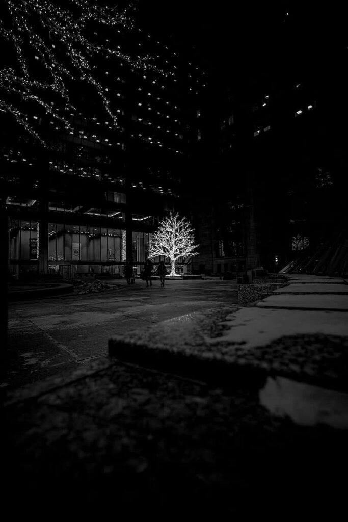 Urban Night Scene: Illuminated Christmas Tree in the Snow Wallpaper