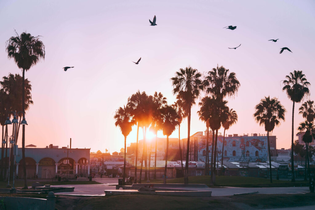 Stunning Venice Beach Sunset Wallpaper: Palm Trees & Vibrant Sky