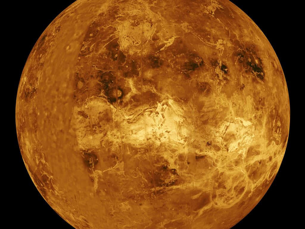 Stunning Venus Wallpaper: Golden Textured Surface in Detail