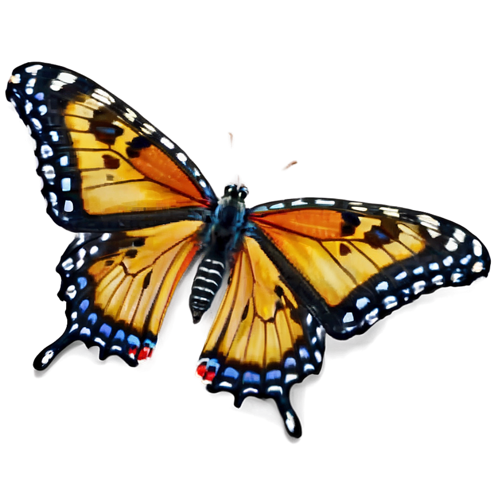 Vibrant Yellow & Black Butterfly Wallpaper with White Spot Details
