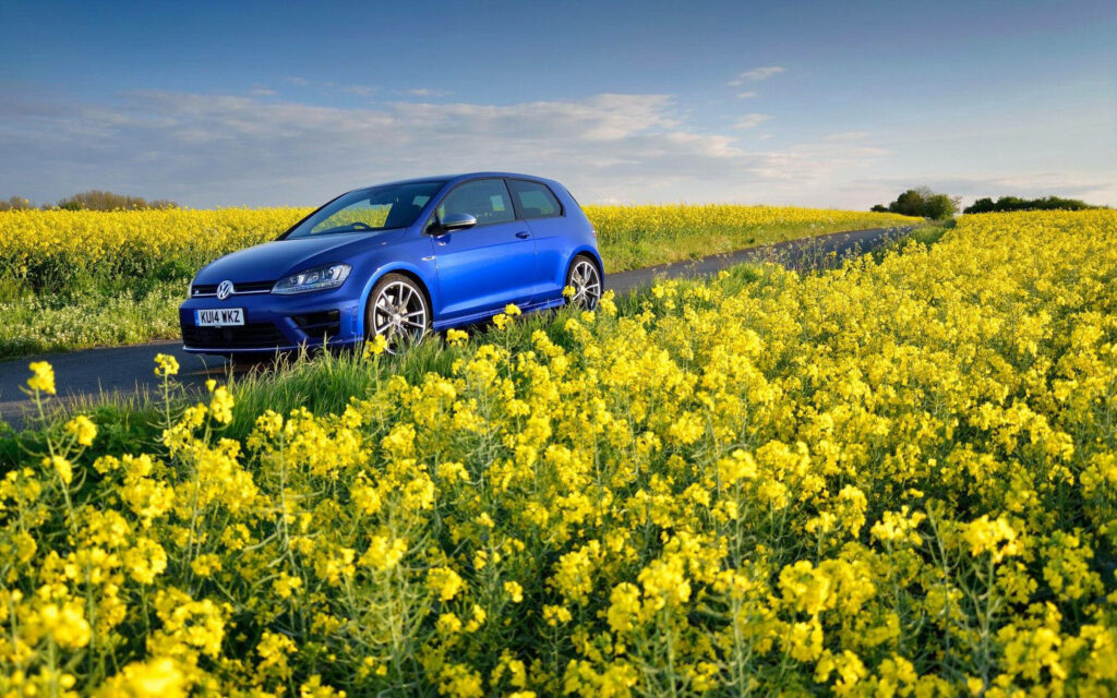 Blue Volkswagen Golf R in Scenic Countryside - Stunning Wallpaper