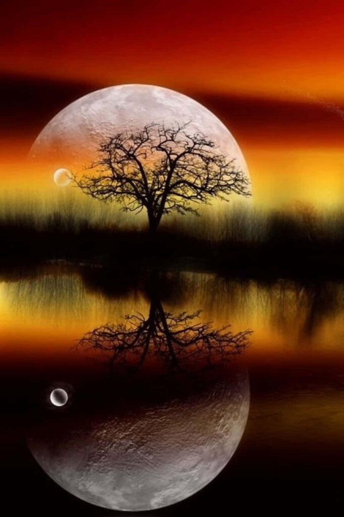Lone Tree Wallpaper: Vibrant Sunset Sky & Glowing Moon Reflection