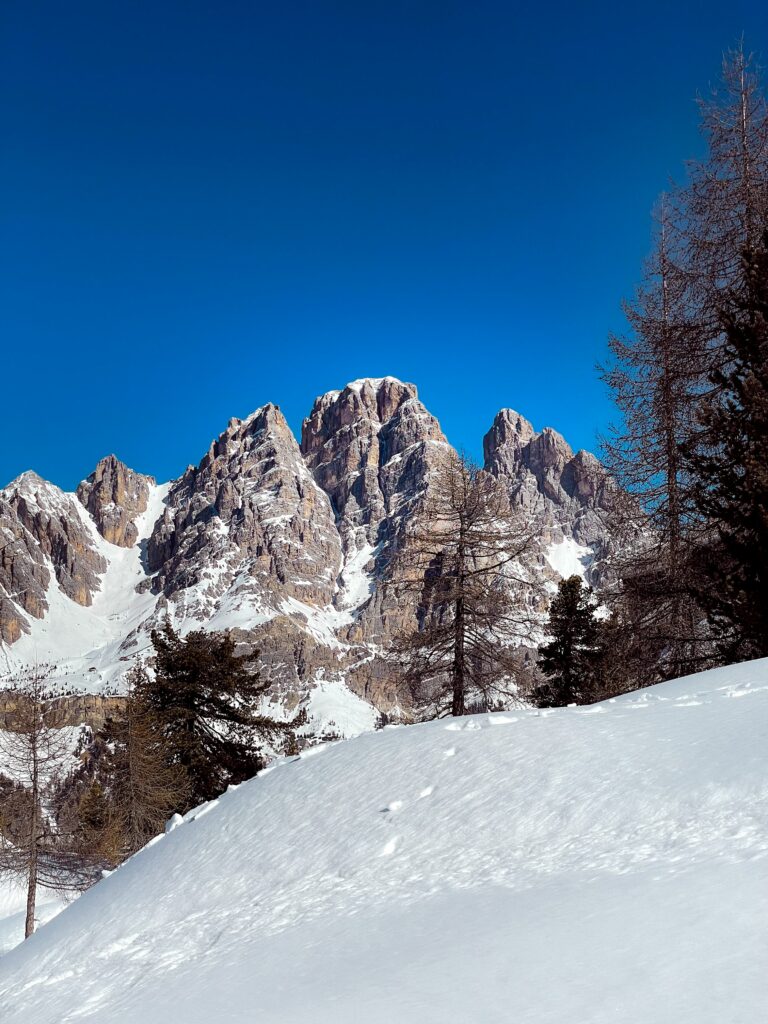 Snow-capped mountains with frosted trees and white slope under vivid blue winter sky wallpaper